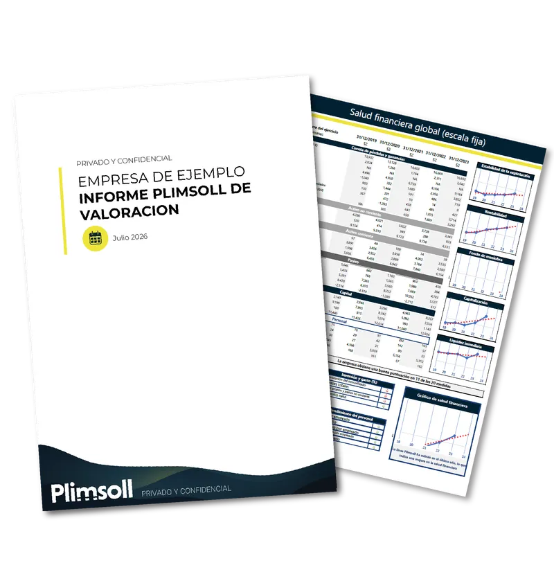 Sample Plimsoll valuation report